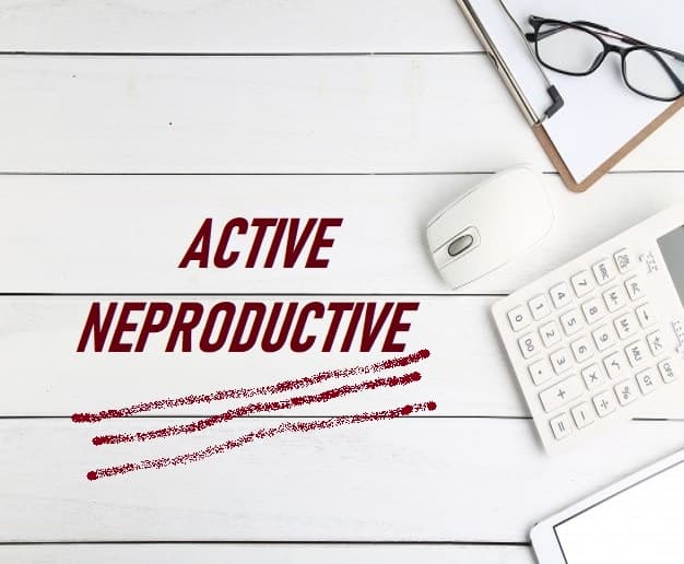 Sistemul bugetar: contabilitatea activelor neproductive