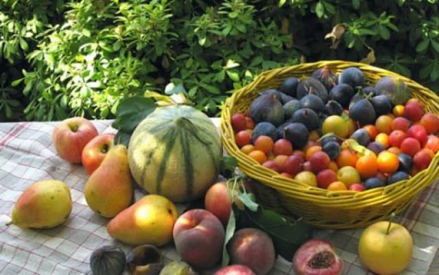 Fructele moldovenești vor fi cea mai importantă componentă a pavilionului țării la expoziția EXPO 2015