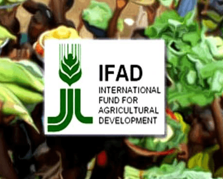 Парламент ратифицирует два грантовых соглашения на $5,6 млн