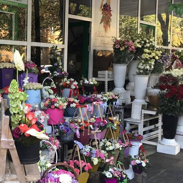 Serviciul Fiscal de Stat - în serviciul contribuabilului