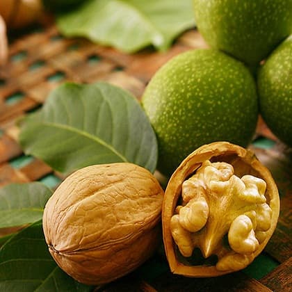 Орех как стратегический продукт