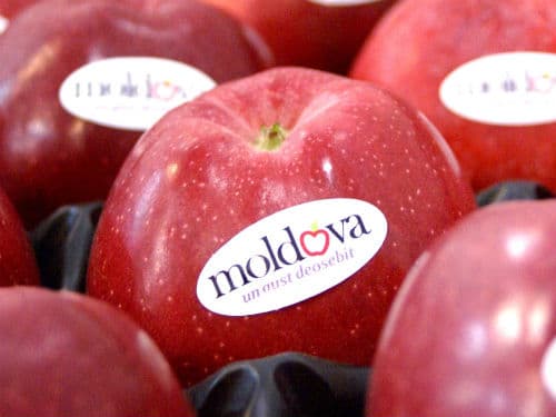 Экспорт молдавской продукции в ЕС временно осуществляется без регистрации в автоматизированной системе таможенных данных ЕС (Asycuda)