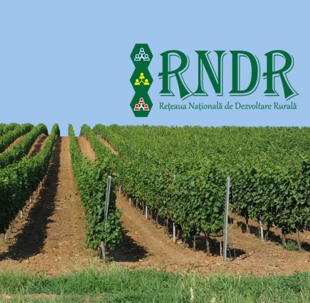 Adunarea Generală RDCR: realizări și provocări