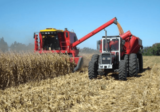 7 grupuri de producători agricoli au fost înregistrate de Ministerul Agriculturii