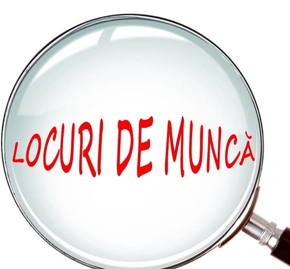 Pe parcursul anului 2017 s-au înregistrat ca șomeri 69 008 persoane