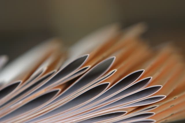 CNAS: Conţinutul extrasului din cont a fost completat