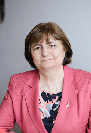 Analiza financiară în misiunea de audit