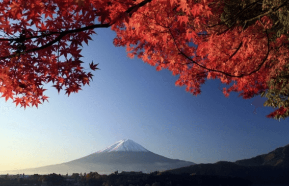 ASBJ продолжает обсуждать самые важные вопросы финансового учета