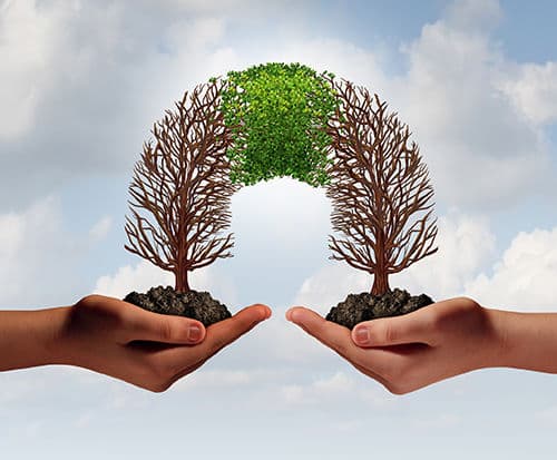 AOAMP şi FNFM vor dezvolta proiecte comune