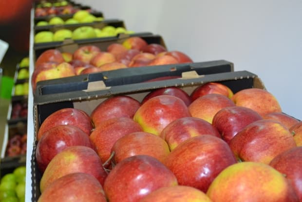 Întreprinderile din stânga Nistrului şi-au promovat produsele pe piaţa europeană