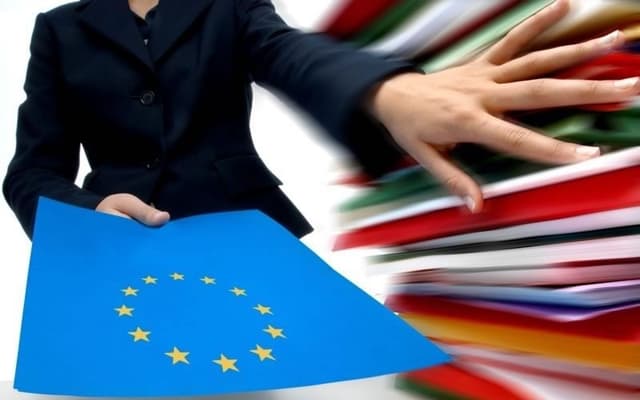 România are nevoie de un sistem informatic pentru absorbţia de fonduri europene şi altul pentru gestionarea investiţiilor