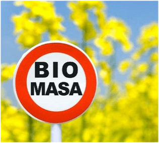 20 de localități din Găgăuzia și sudul țării vor fi conectate la sisteme moderne de încălzire cu biomasă