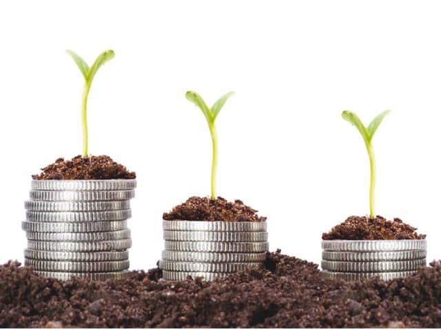 Băncile din Moldova vor restructura datoriile producătorilor de fructe și conserve