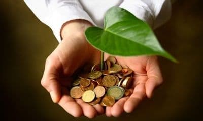 Economia verde- o nouă prioritate în dezvoltarea sectorului întreprinderilor mici și mijlocii