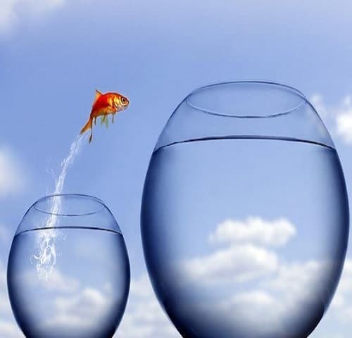 «Export Mission». Новые возможности для бизнеса