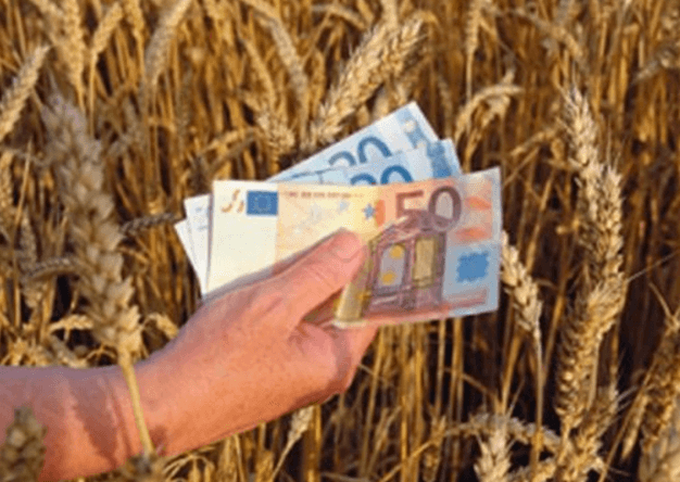 Mai puţine cereri de solicitare a subvenţiilor pentru 2015