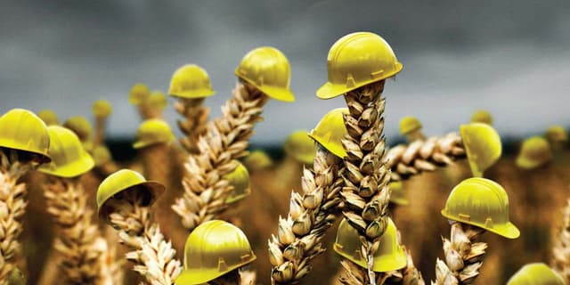 Subvenționarea primelor de asigurare în agricultură în anul 2021