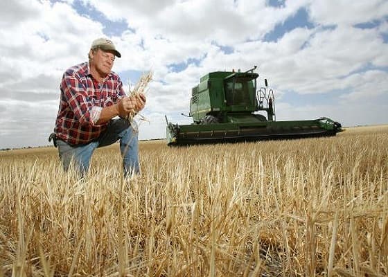Producția agricolă, în diminuare