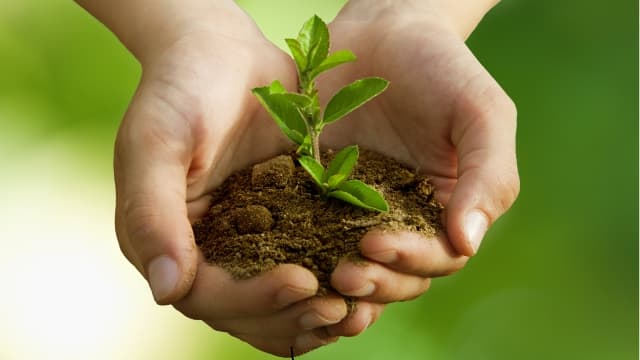 Fondul Ecologic Naţional. Regulamentul de administrare