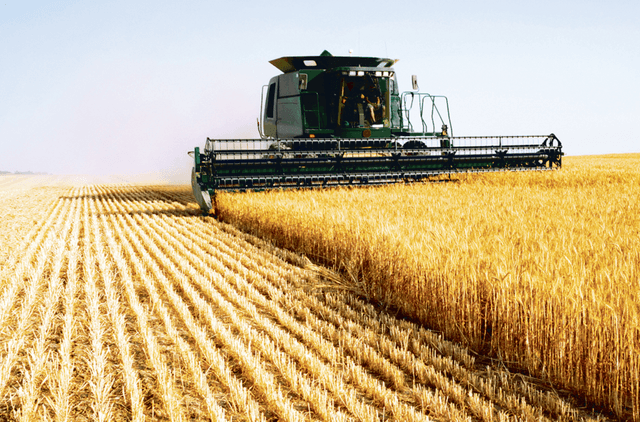 Producţia globală agricolă în anul 2015