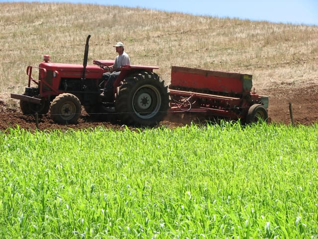 Fermierii ar putea solicita subvenţii on-line