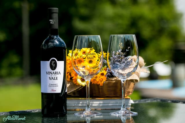 Vinăria din Vale – deținătoarea Marelui Premiu în domeniul vitivinicol