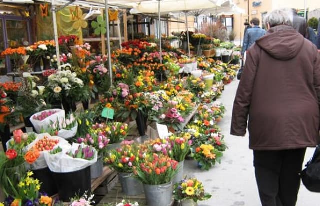 Comercializarea ilicită a florilor în atenţia Inspectoratul Fiscal de Stat pe municipiul Chişinău