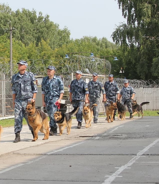 Chinologii vor fi pregătiţi la Centrul de Excelență