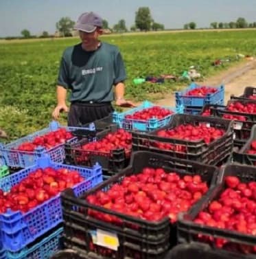О пособиях, выплачиваемых при  ликвидации предприятия