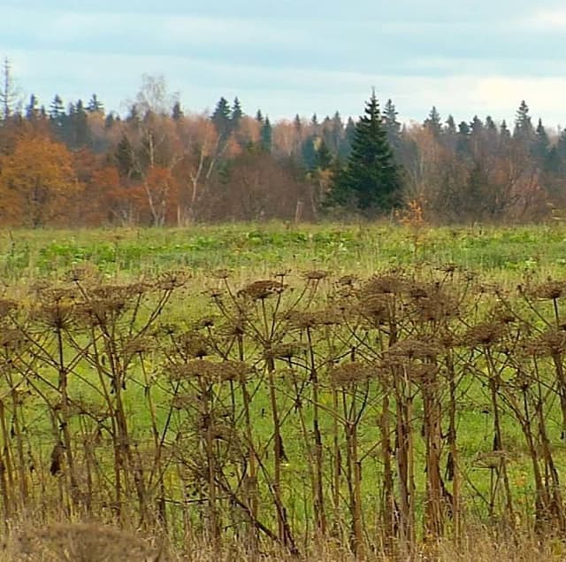 Prelucrarea pământului: drept sau obligaţiune?