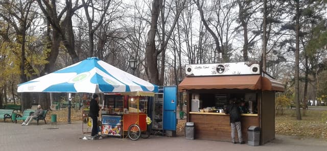 Regulamentul privind desfăşurarea activităţii de comerţ în municipiul Chişinău, aprobat