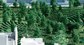 Aspecte ale contabilității costurilor aferente înființării spatiilor verzi (prima parte)