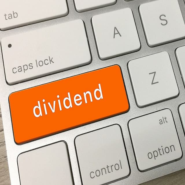 Plata dividendelor intermediare