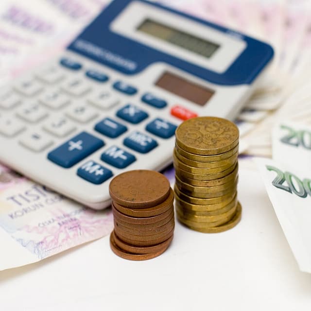 Impozitul pe venit: Obligaţiile fiscale aferente impozitului pe venitul persoanelor juridice şi persoanelor fizice