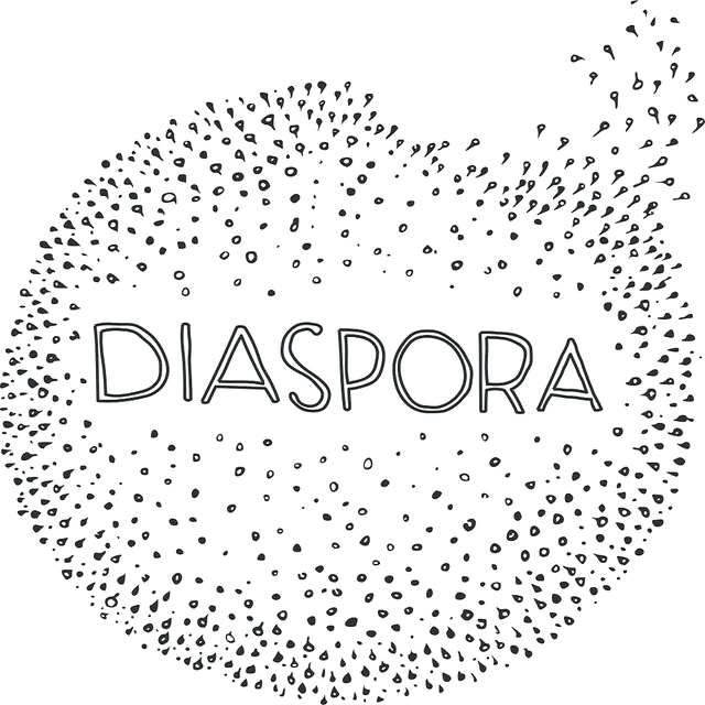 Diaspora Acasă Reușește