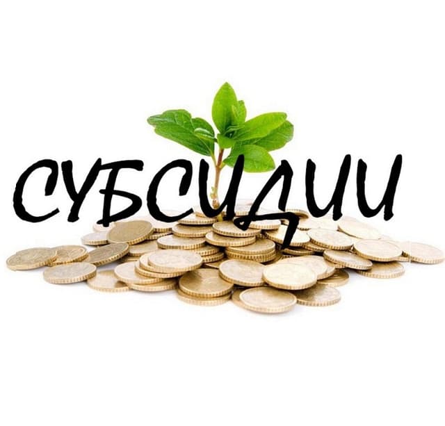 Новый проект: предварительное субсидирование стартапов