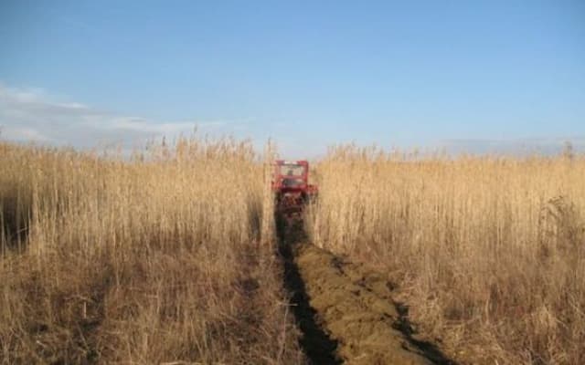 Producătorii agricoli din Găgăuzia ar putea beneficia de înlesniri fiscale pentru desfacerea mai avantajoasă a cerealelor