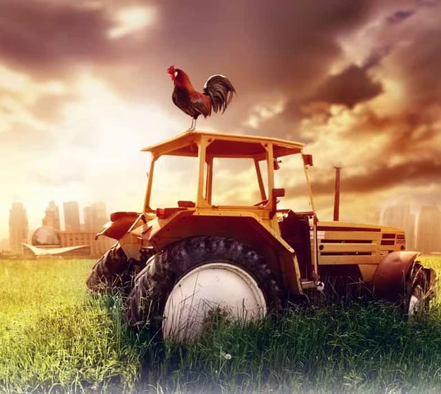 AIPA: expiră termenul-limită de depunere a dosarelor