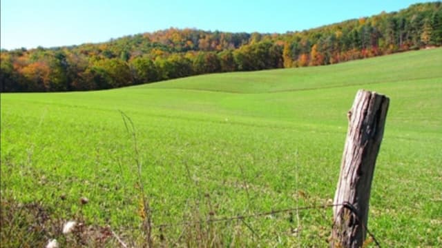 A intrat în vigoare un nou formular