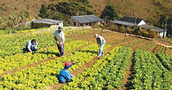 Programul IFAD VI oferă posibilități atractive de finanțare pentru agricultori