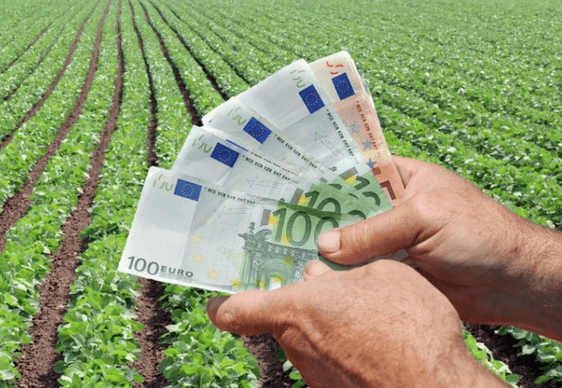 Producătorii de fructe care au avut pierderi în urma embargoului nu-și vor primi banii pentru 2014