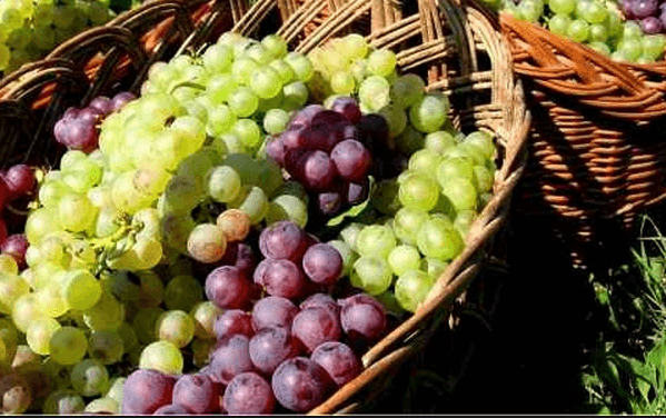 Producătorii moldoveni ar putea relua exporturile