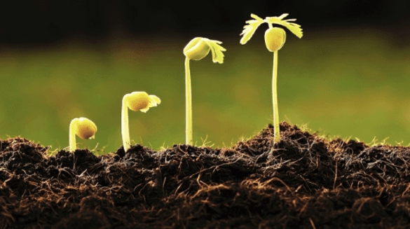 Ministerul Agriculturii și Industriei Alimentare anunță concurs privind ocuparea funcţiei de director la AIPA