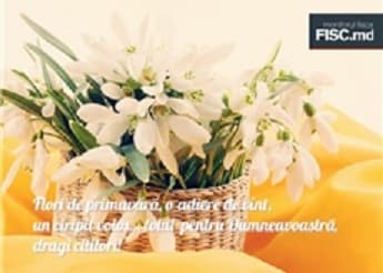 Flori de primăvară, o adiere de vânt, un ciripit voios… totul  pentru Dumneavoastră, dragi cititori!