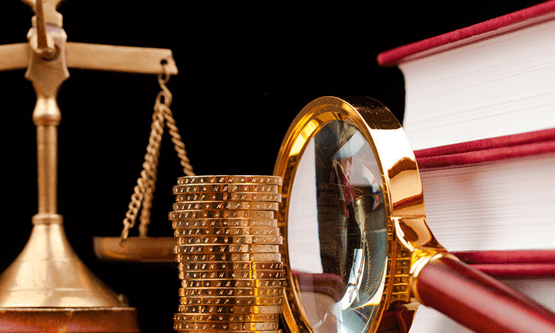 A fost simplificat la maximum sistemul electronic de căutare a legilor RM