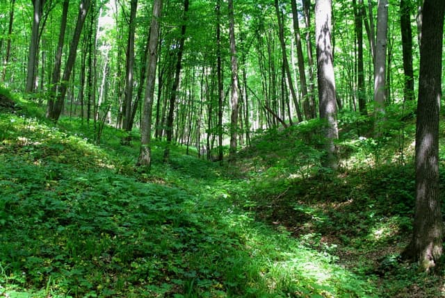 Румыния выделит Молдове 15 млн евро для внедрения экологических проектов