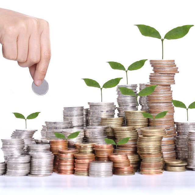 O nouă categorie de plătitori la BASS