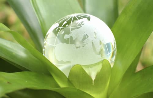 Ce reprezintă expertiza ecologică de stat a documentaţiei privind evaluarea impactului asupra mediului înconjurător?