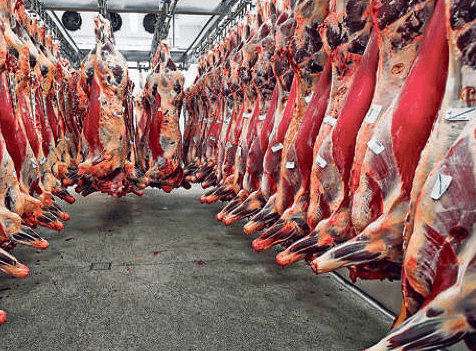 La Căușeni va fi construit un abator modern