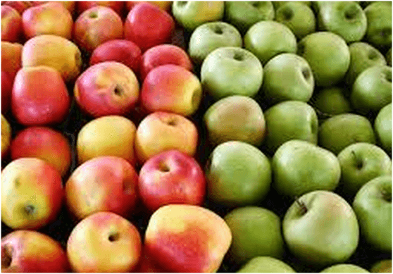 UE ar putea dubla cotele de export pentru fructele şi legumele din R. Moldova